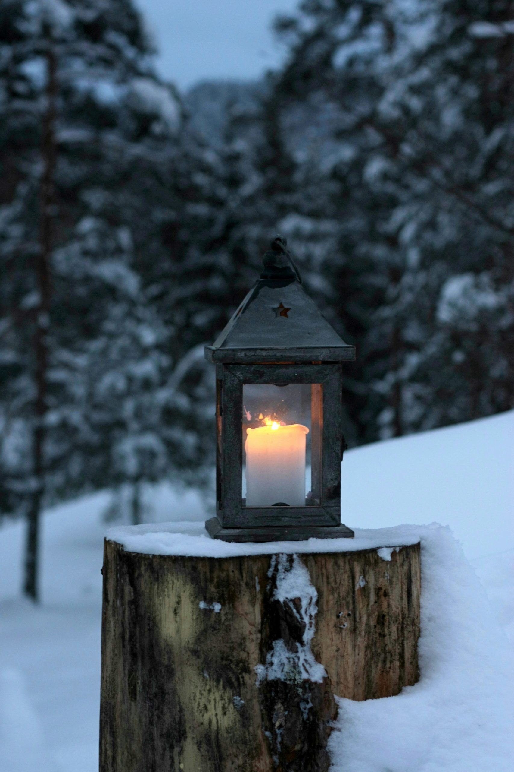 elin-melaas-nN-6RiasvIg-unsplash