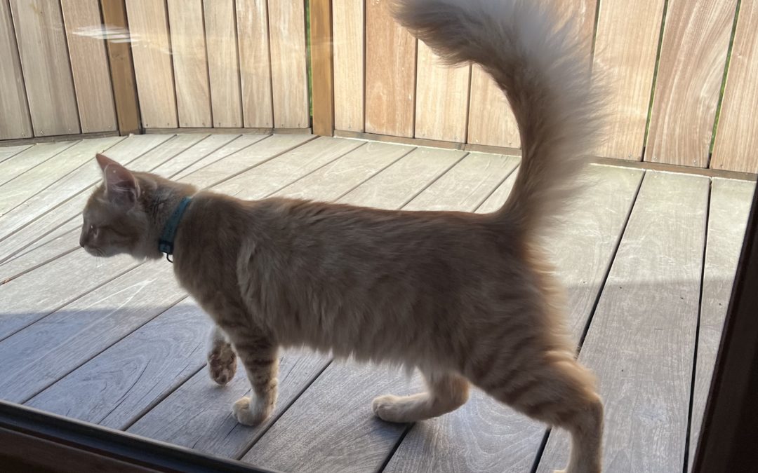 Journal de résidence, lundi