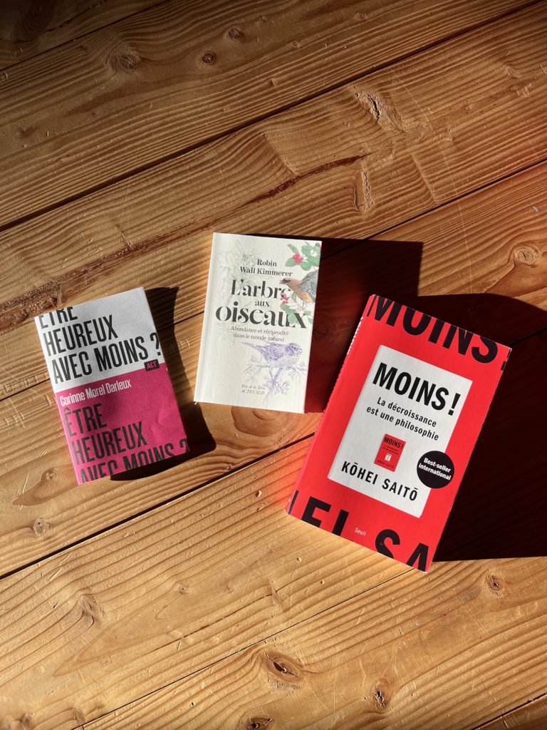  3 livres sur un parquet de bois